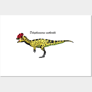 Dilophosaurus wetherilli Posters and Art